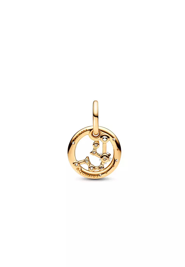 Aquarius Zodiac Dangle Charm