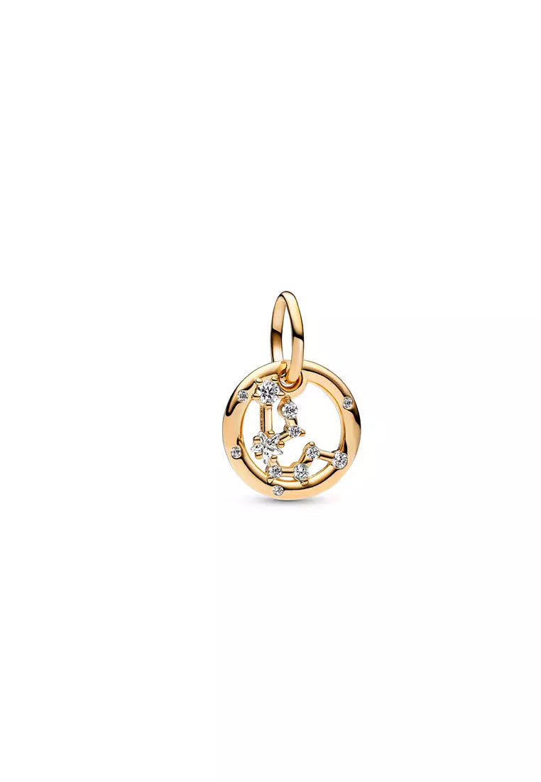 Aquarius Zodiac Dangle Charm